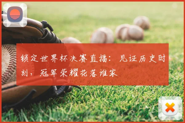 锁定世界杯决赛直播：见证历史时刻，冠军荣耀花落谁家